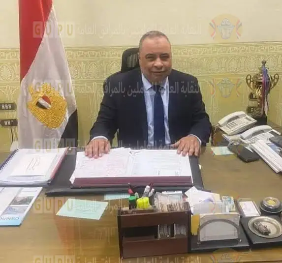 رئيس جنوب القاهرة لتوزيع الكهرباء